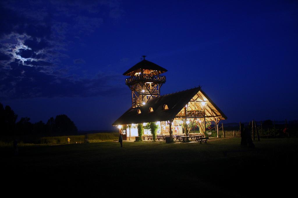 Guest House Zasavica エクステリア 写真