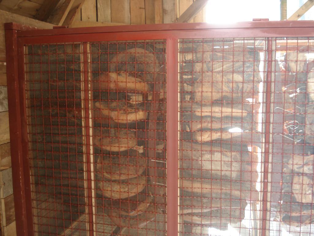 Guest House Zasavica エクステリア 写真