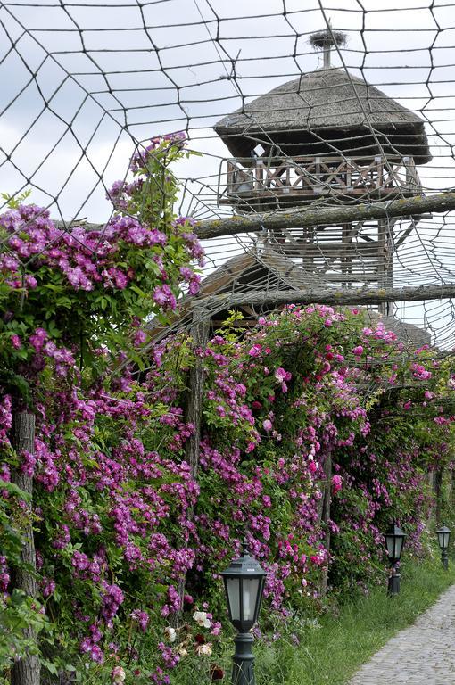 Guest House Zasavica エクステリア 写真